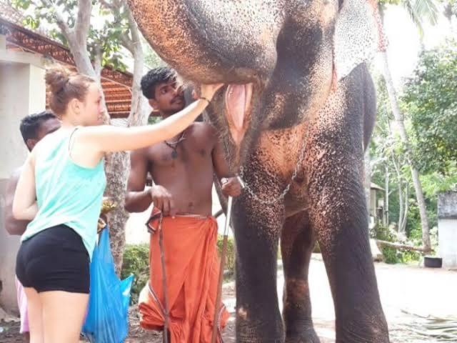 Mohans Ayurvedic Beach Resort Varkala Luaran gambar
